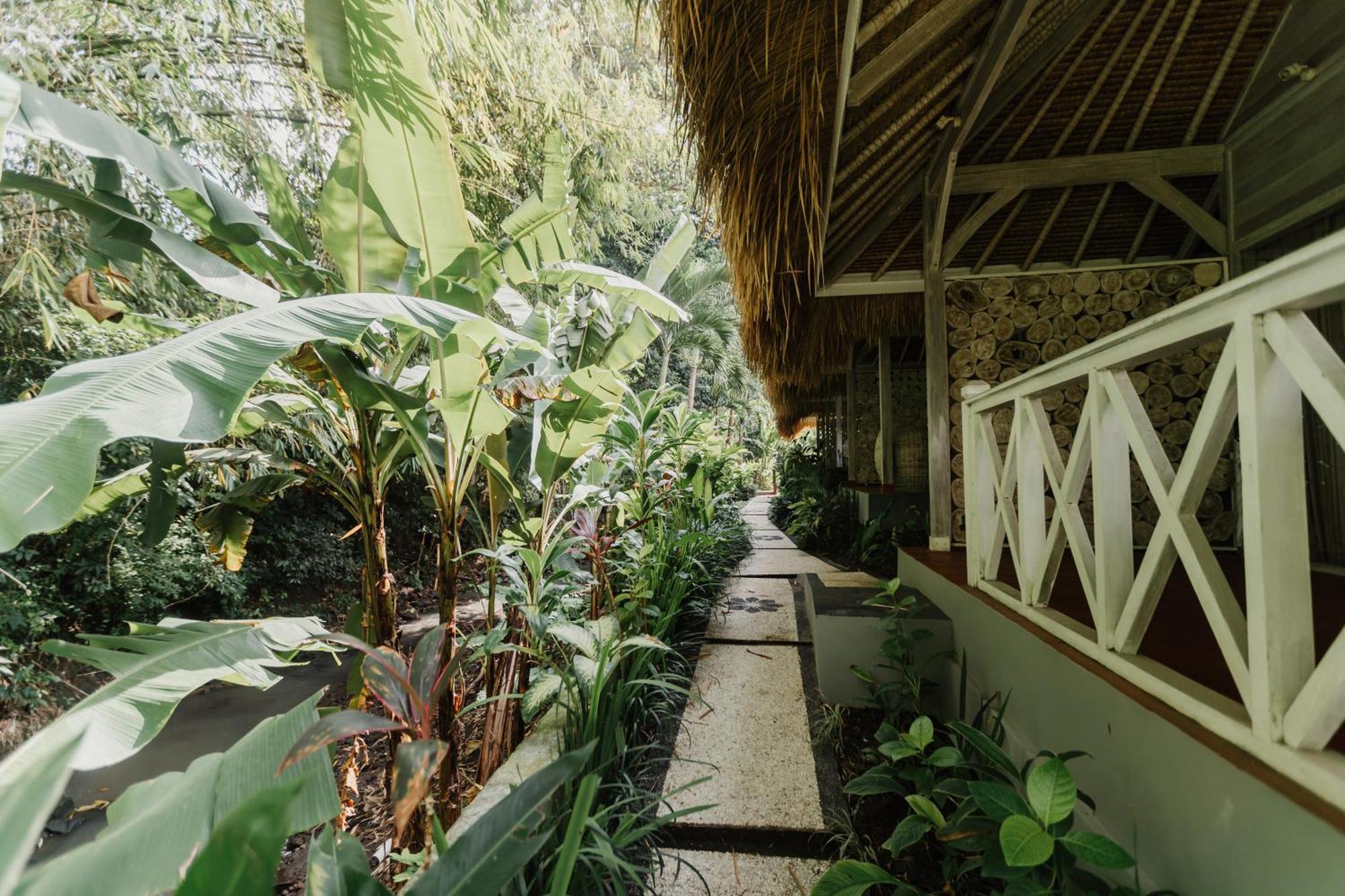 Maylie Bali Villa & Bungalows Canggu Eksteriør bilde